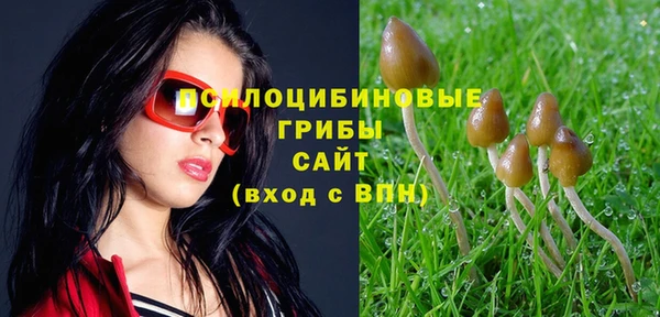 ALPHA-PVP Аркадак